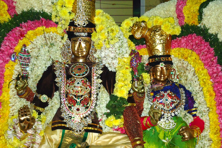 ஸ்ரீ கோமதியம்மனுக்கு அருள் செய்த சங்கர நாராயணன்